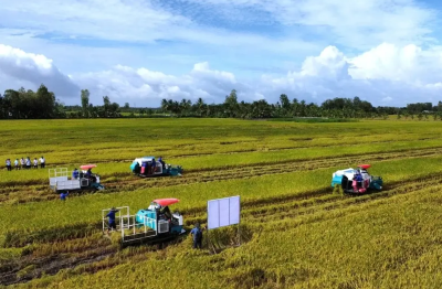 Doanh nghiệp, hiệp hội chung tay giữ nhịp sản xuất nông nghiệp