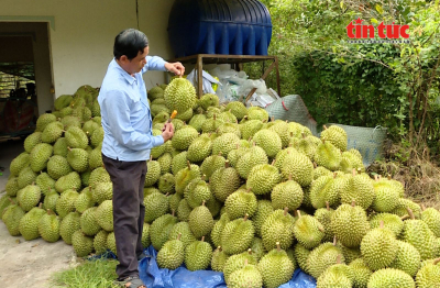 Nông nghiệp Việt Nam tăng trưởng ổn định, tiếp tục chuyển dịch theo chuỗi giá trị