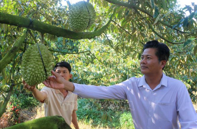 Khát vọng làm giàu từ tư duy nông nghiệp hiện đại