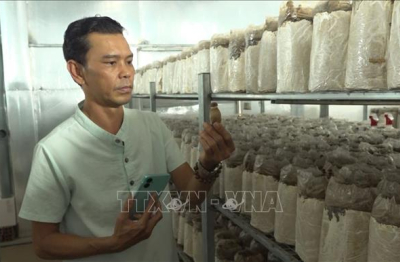 Phát triển nông nghiệp hiện đại trong thời đại số