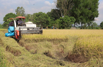 Đột phá phát triển kinh tế tập thể