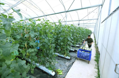 Địa phương còn lúng túng trong triển khai phát triển khoa học công nghệ