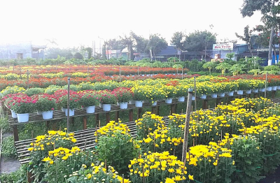 Khơi thông tín dụng tam nông hướng đến nông nghiệp bền vững