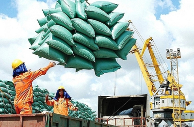 Nông sản cần một tấm hộ chiếu uy tín