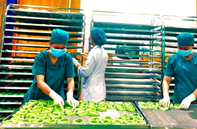 Thưởng Tết Bính Ngọ 2026 tăng hơn năm ngoái dù kinh tế nhiều biến động