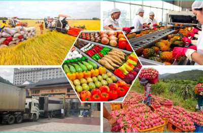 Xuất khẩu nông sản bứt phá ngay từ đầu năm 2026