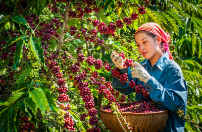 Vận hội mới cho “nông dân chuyên nghiệp”