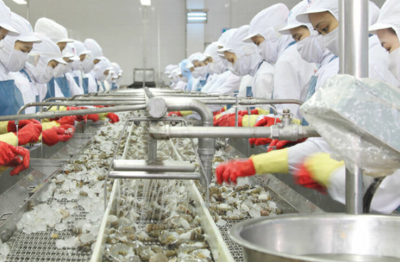 Xuất khẩu chuyển dịch từ lượng sang chất