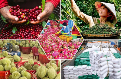 Bài toán nâng tầm chuỗi cung ứng nông sản Việt