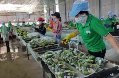 Rau quả quý II dự kiến tiếp tục tăng trưởng