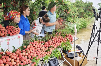 Thương mại điện tử mở đường mới cho chuỗi giá trị nông sản