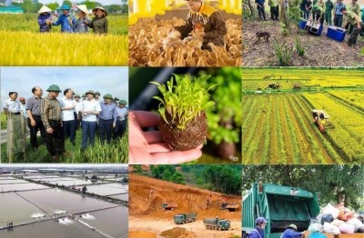 Cắt giảm thủ tục nông nghiệp và môi trường, khơi thông nguồn lực phát triển