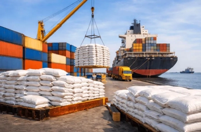 Xuất khẩu gạo đạt trên 3,1 tỷ USD