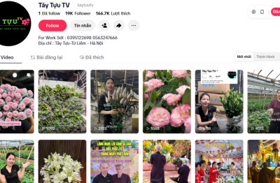 Người trẻ Tây Tựu kể chuyện làng hoa trên nền tảng số