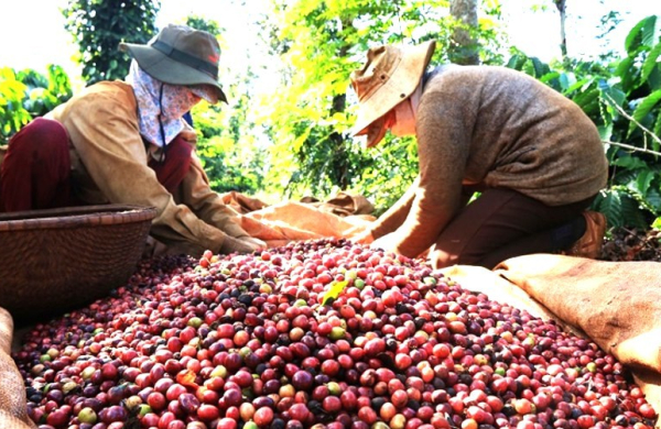 Doanh nghiệp Việt Nam cần chủ động trong “cuộc chơi” chuyển đổi xanh toàn cầu