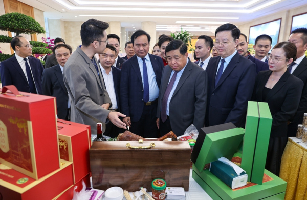 Liên kết hiệu quả giữa hợp tác xã và doanh nghiệp