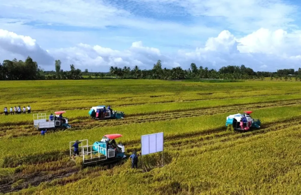 Doanh nghiệp, hiệp hội chung tay giữ nhịp sản xuất nông nghiệp