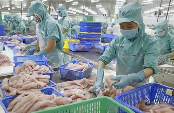 Tận dụng thời cơ, vượt qua thách thức tiếp tục phát triển nhanh và bền vững đất nước