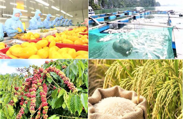 Xuất khẩu nông, lâm, thủy sản tăng hơn 10% so với cùng kỳ