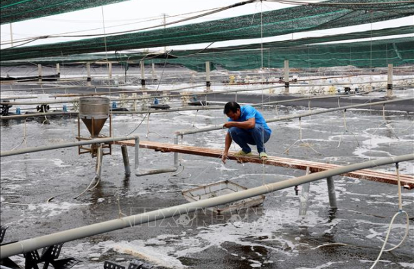 Canh tác biển, động lực mới cho kinh tế biển Việt Nam