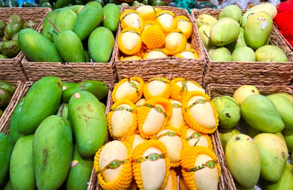 Nông sản Việt thoát thế “chạy theo” quy định nhập khẩu