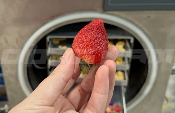 Máy sấy nông sản mini cho hợp tác xã nhỏ – Vì sao chính sách hỗ trợ vẫn chưa đến tay?