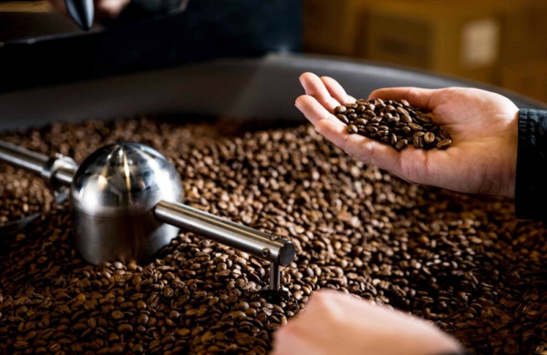 Giá cà phê tại nhà máy 235.000 đồng/kg, vì sao thị trường chỉ bán 130.000 đồng?