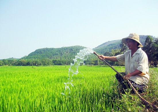 Tưới ngập – khô xen kẽ: Thay đổi nhỏ cho bài toán lớn trồng lúa