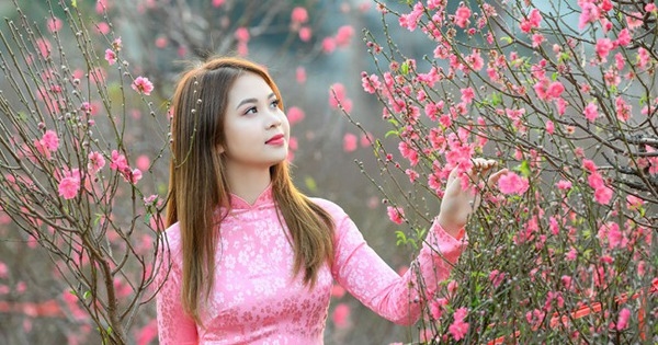 Đề xuất cán bộ, công chức, viên chức nghỉ 9 ngày dịp Tết Âm lịch 2026