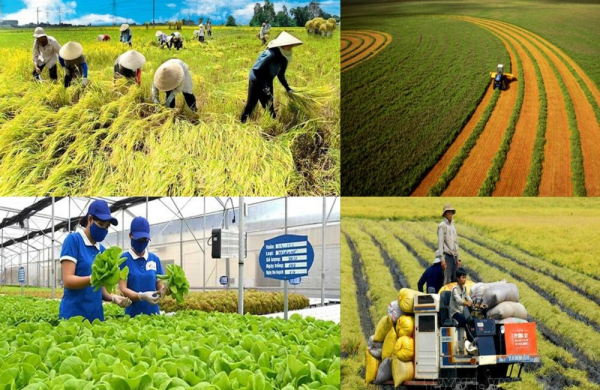 Doanh nghiệp kiến nghị cơ chế mở đường chuỗi giá trị nông nghiệp xanh