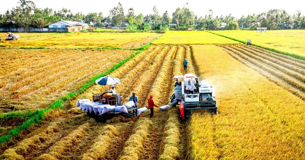 Hợp tác khu vực - “Chìa khóa” giảm phát thải khí nhà kính trong nông nghiệp