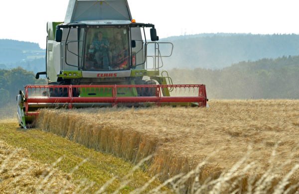 Nông dân Anh đối mặt nguy cơ giảm thu nhập khi Chính phủ áp trần hỗ trợ nông nghiệp bền vững