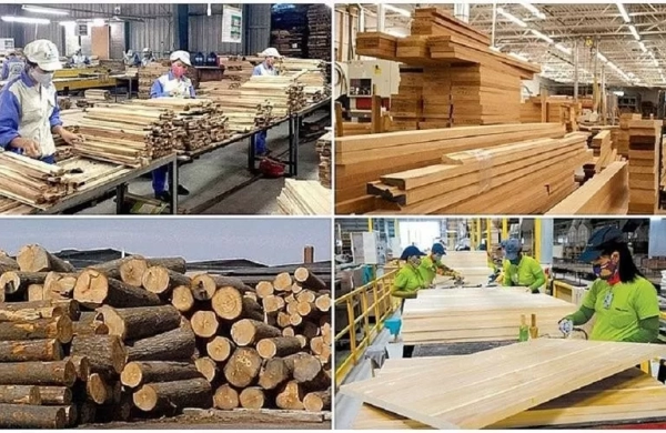 Bước ngoặt mới của ngành gỗ Việt