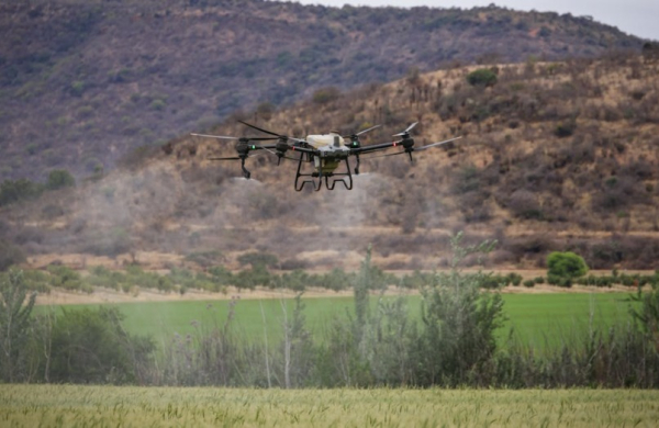 Tương lai nông nghiệp: AI và drone đang tái định hình hiệu quả sản xuất