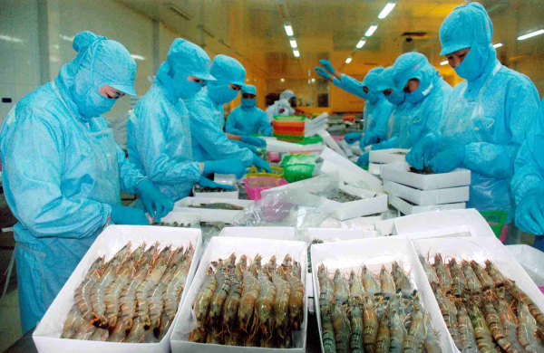 132 doanh nghiệp Việt xuất khẩu tôm vào Hoa Kỳ chịu mức thuế 25,76%