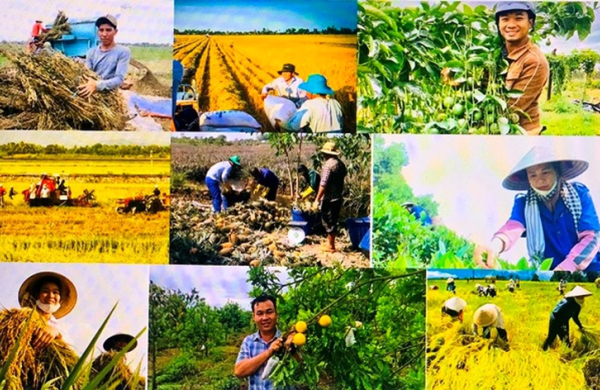 Cắt giảm thủ tục hành chính ở 11 lĩnh vực nông nghiệp và môi trường
