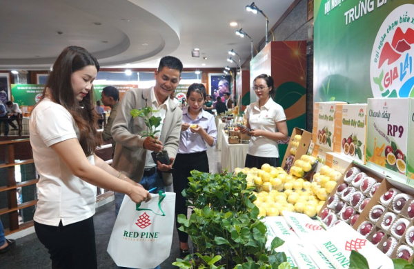 Mở đường cho nông sản, sản phẩm OCOP Gia Lai vào siêu thị lớn