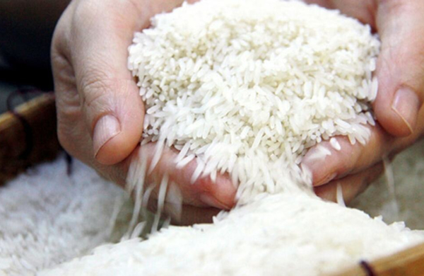 Do lo ngại nguồn cung giá cà phê và gạo đồng loạt tăng