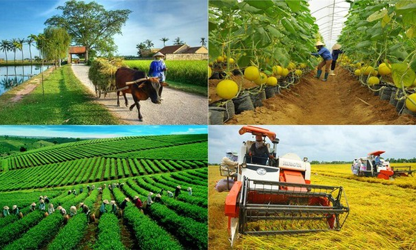 Phấn đấu hỗ trợ 25.000 doanh nghiệp, hộ kinh doanh, hợp tác xã kinh doanh bền vững