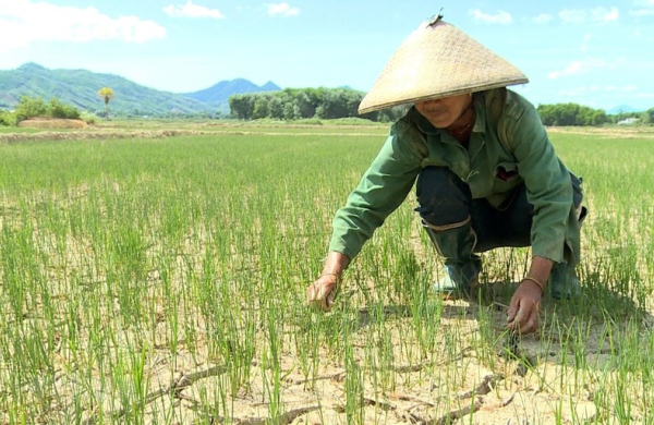 Nhiều đợt nắng nóng gay gắt ở Bắc và Trung Bộ trong tháng 6