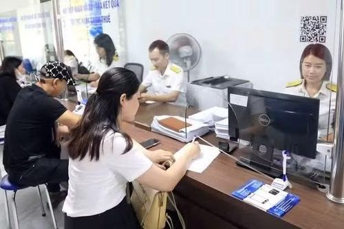 Hơn 617.000 doanh nghiệp vào diện rà soát trong chiến dịch làm sạch mã số thuế