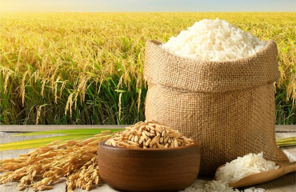 Giá gạo và cà phê tiếp tục tăng mạnh