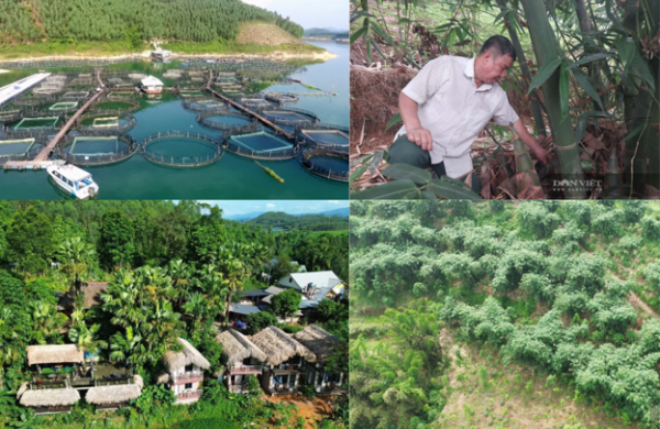 Thác Bà khơi dậy động lực từ “tam nông”