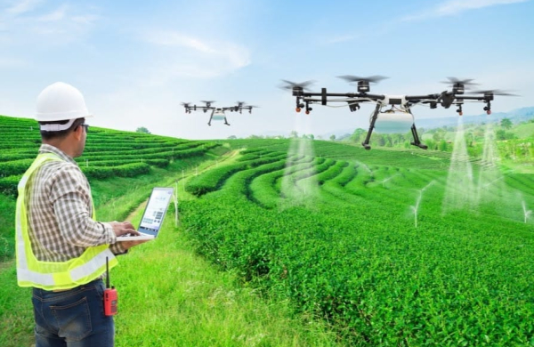 Vai trò của khuyến nông trong phổ biến nông nghiệp chính xác