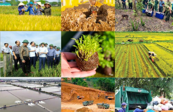 Cắt giảm thủ tục nông nghiệp và môi trường, khơi thông nguồn lực phát triển