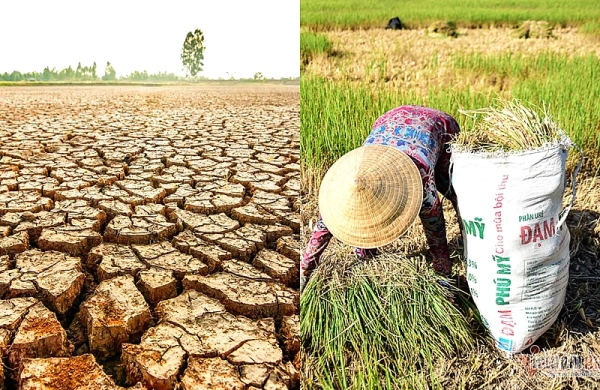Chủ động ứng phó ảnh hưởng của El Nino mùa khô năm 2026 - 2027