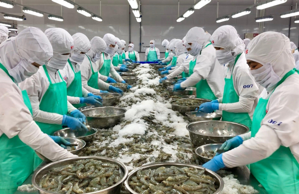 VASEP kiến nghị tháo gỡ vướng mắc thuế cho doanh nghiệp thủy sản