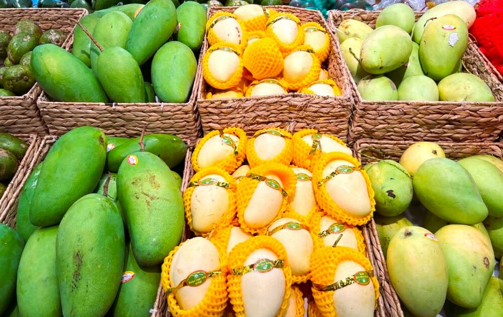 Nông sản Việt Nam chủ động thích ứng quy định nhập khẩu