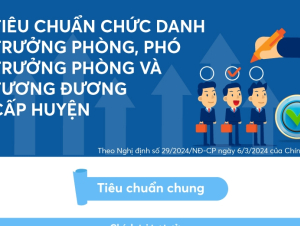 Tiêu chuẩn chức danh Trưởng phòng, Phó Trưởng phòng cấp huyện