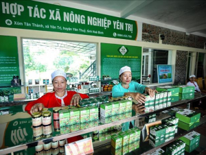 Chính sách hỗ trợ phát triển tổ hợp tác, hợp tác xã, liên hiệp hợp tác xã